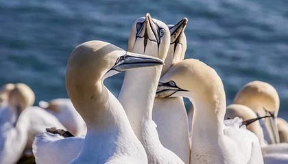 温金荣会见和君咨询客人