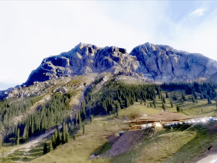 「黄钟 人月圆」韵在晚春(外四首)