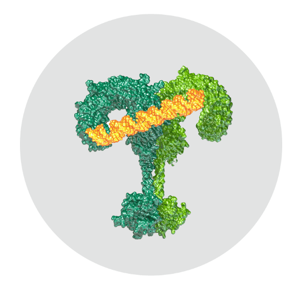 精准的“瑞士军刀”：Dynavax如何用一个分子撬动全球疫苗市场