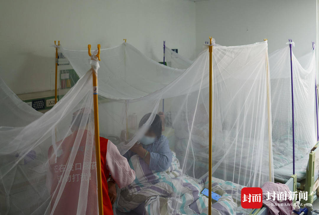 探访佛山基孔肯雅热定点医院：病床上加装了蚊帐，已有近300人治愈出院｜封面头条