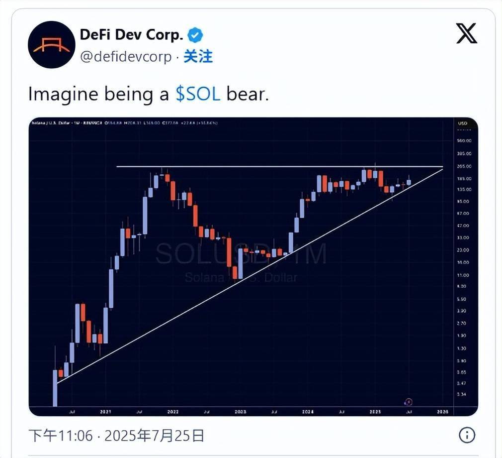 Solana价格预测：关键技术形态显示SOL具有重大上涨潜力