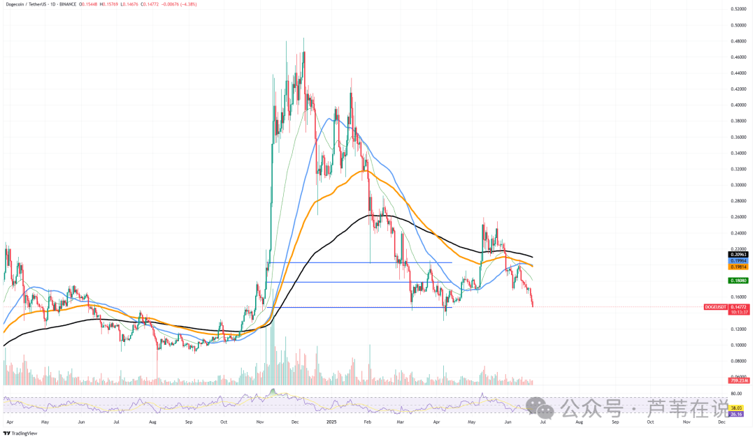 【最后机会】三大MEME币集体暴雷！DOGE、SHIB、XRP谁先归零？持仓者速看！