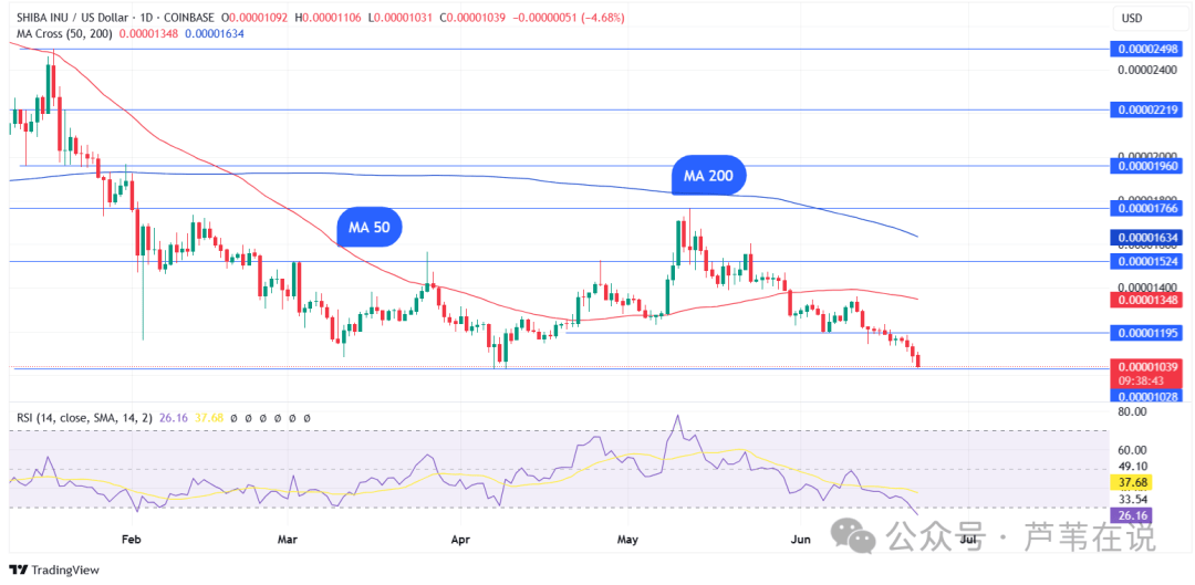 【最后机会】三大MEME币集体暴雷！DOGE、SHIB、XRP谁先归零？持仓者速看！