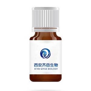 Alginate-DBCO，海藻酸钠-二苯并环辛炔，DBCO-海藻酸钠的合成过程研究