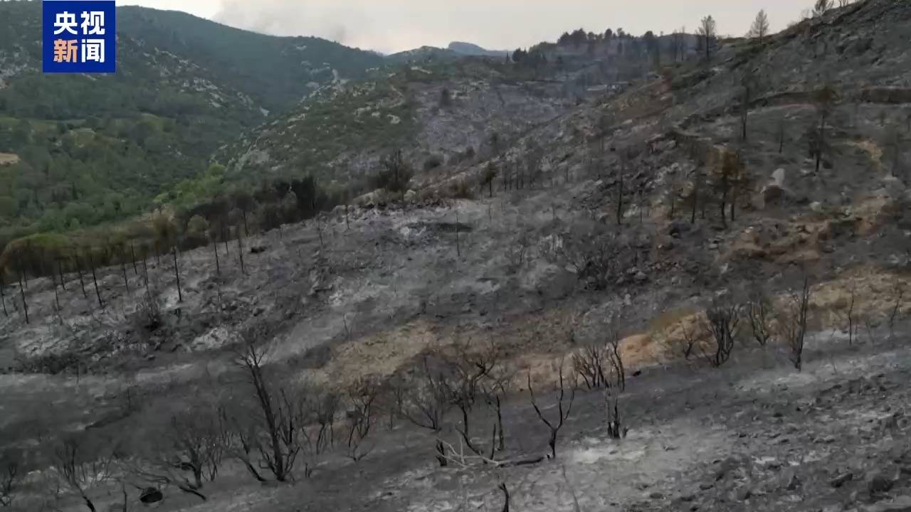 “灾情非常严重、规模空前” 法国南部林火仍在燃烧