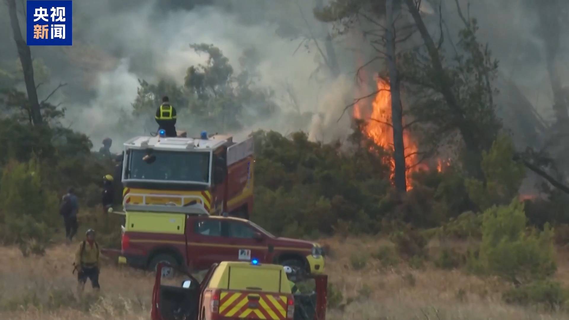 “灾情非常严重、规模空前” 法国南部林火仍在燃烧