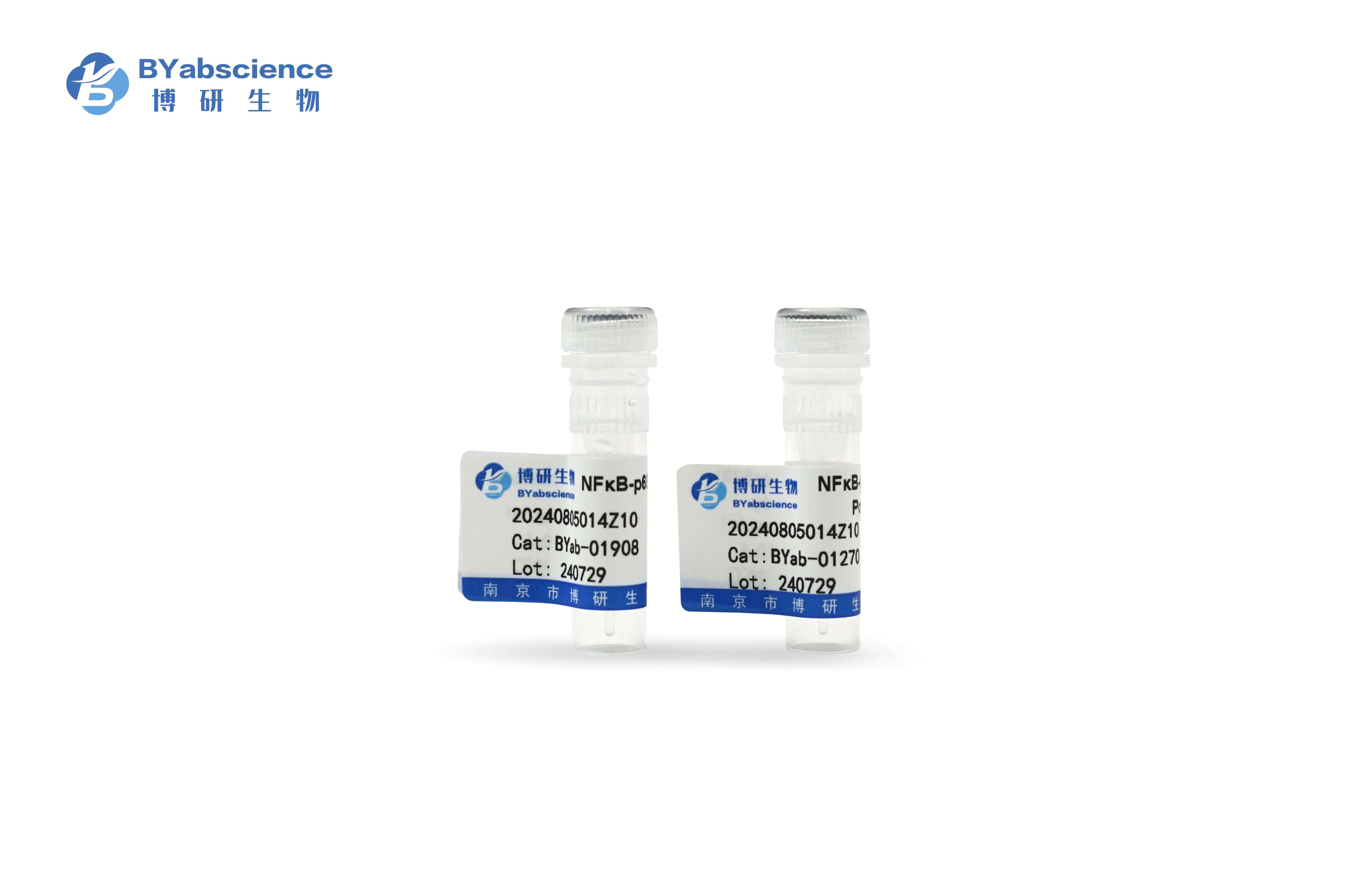 南京博研生物：HIBCH Mouse mAb 科研原料的卓越之选