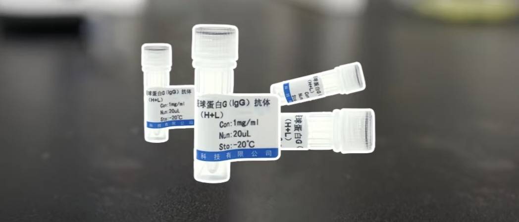 南京博研生物：HIBCH Mouse mAb 科研原料的卓越之选