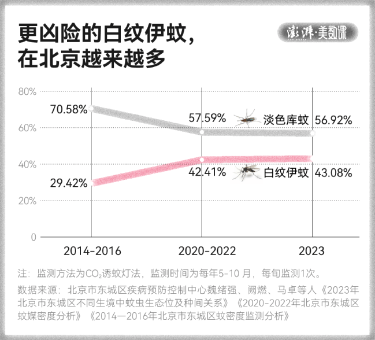 全球“最毒”的蚊子,为何批量北上