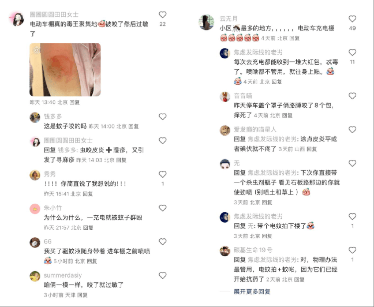 全球“最毒”的蚊子,为何批量北上