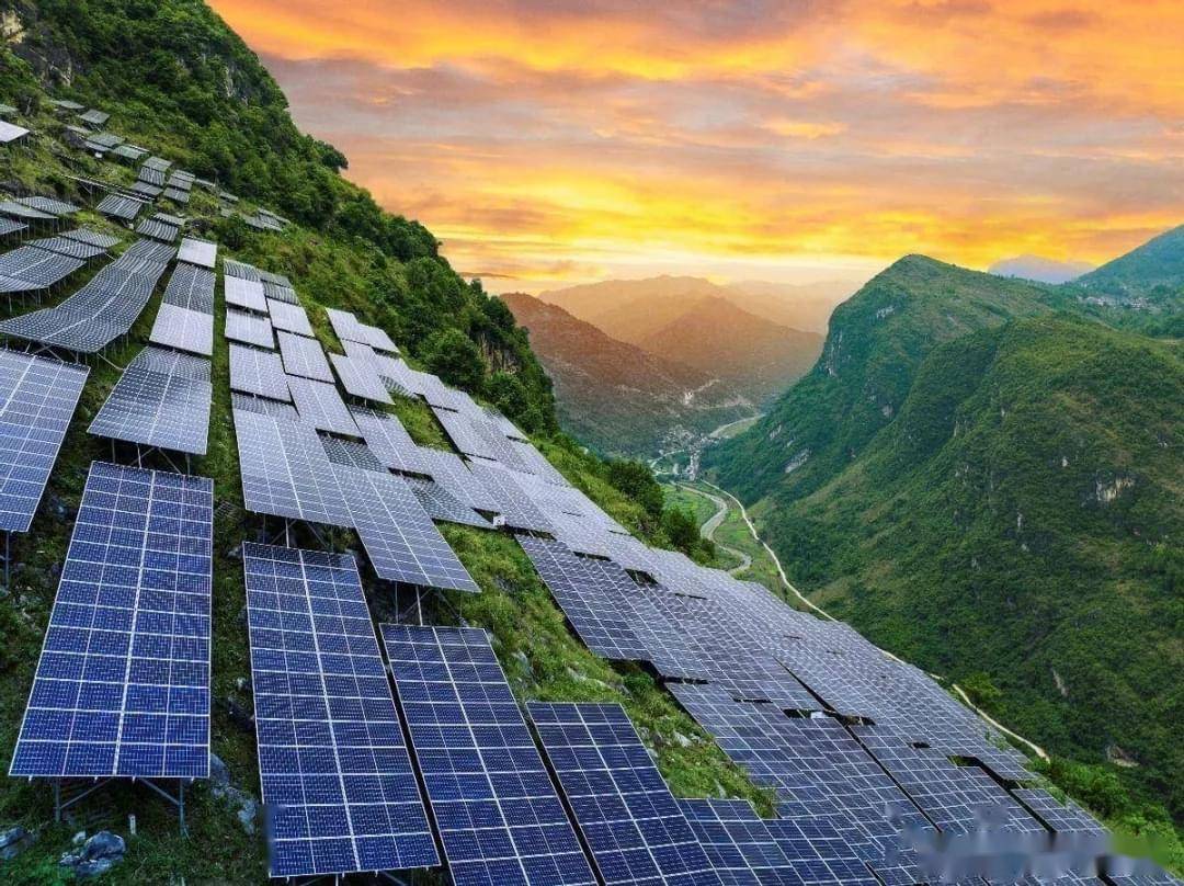 隆基绿能:光伏之殇