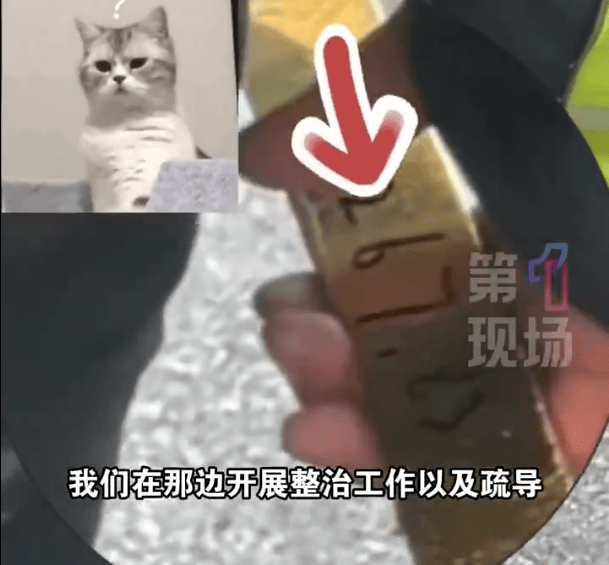 深圳一市民捡到2267.83克巨型金条,警方介入找到失主,网友:巧克力我都不敢买这么大的