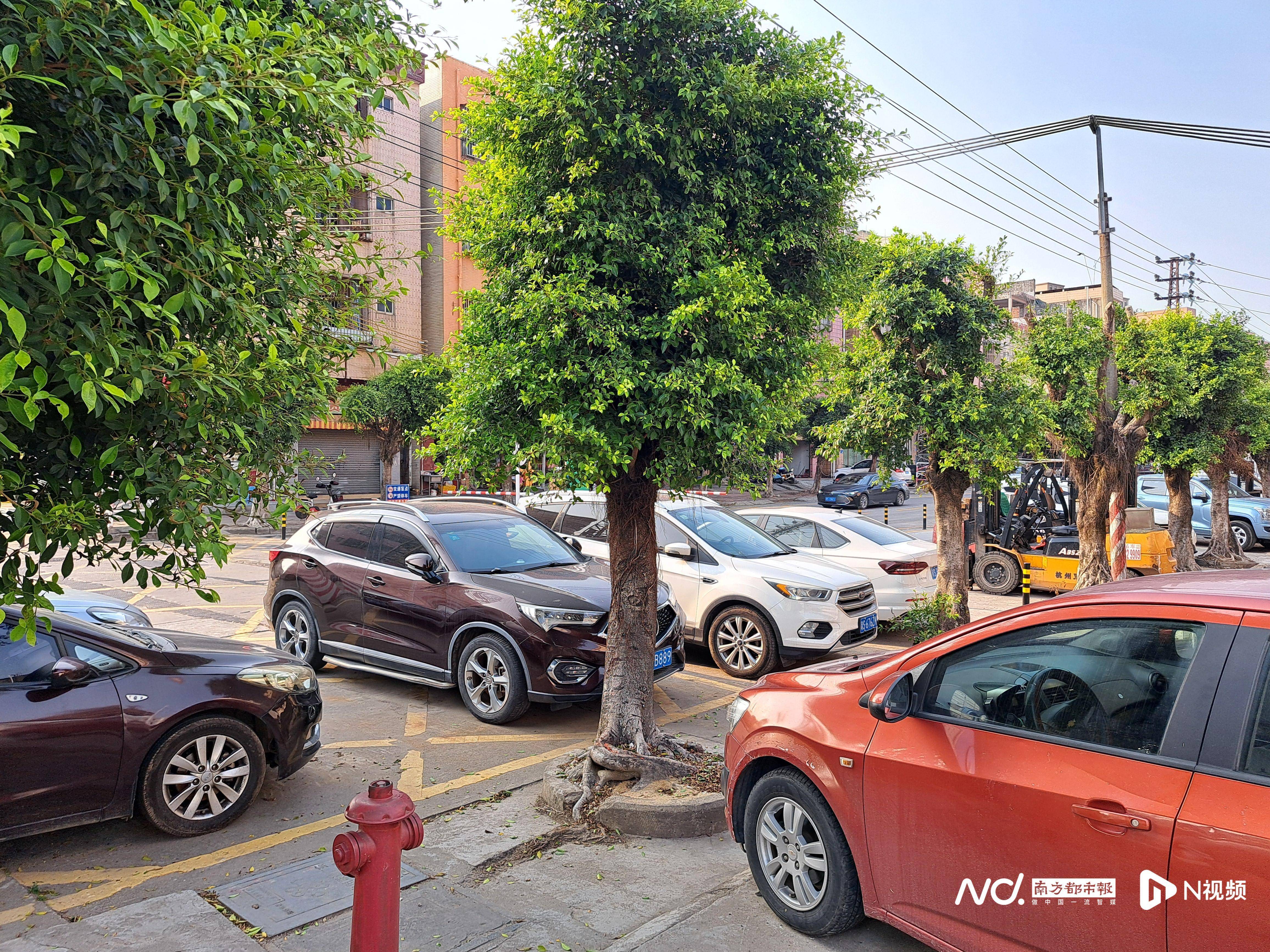 东莞出台村社区停车意见:强化收费区域外围道路的违停执法