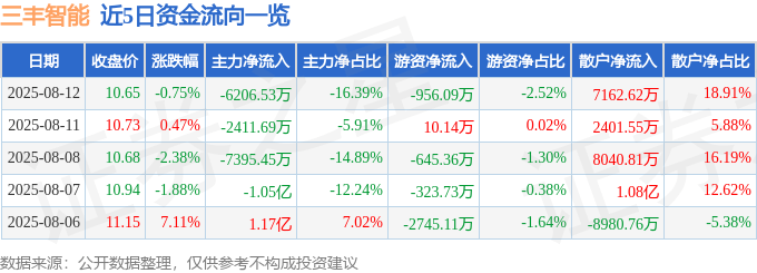 股票行情快报：三丰智能（300276）8月12日主力资金净卖出6206.53万元
