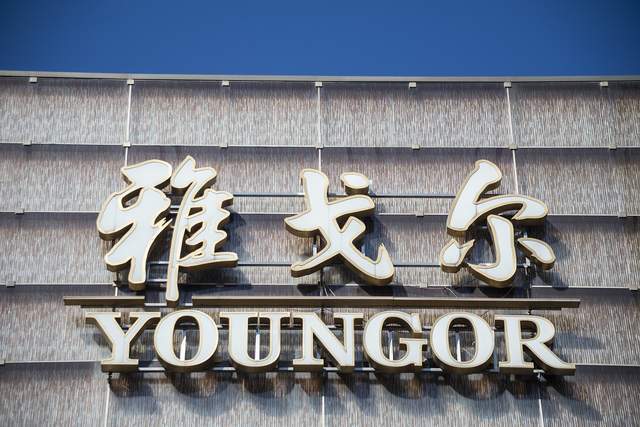 雅戈尔股票(雅戈尔股票值得长期持有吗)