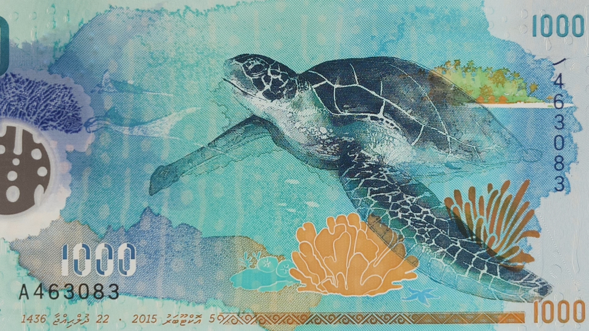 马尔代夫用什么货币(马尔代夫用美金还是当地货币)