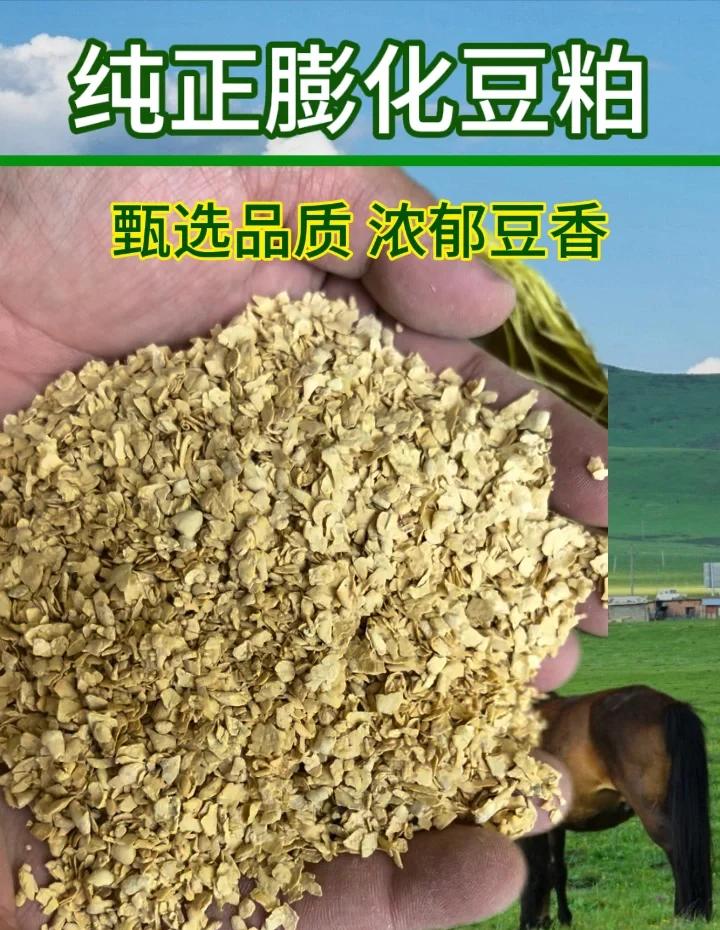豆粕现货价(豆粕现货价格明显上调) 豆粕现货价(豆粕现货价格明显上调)