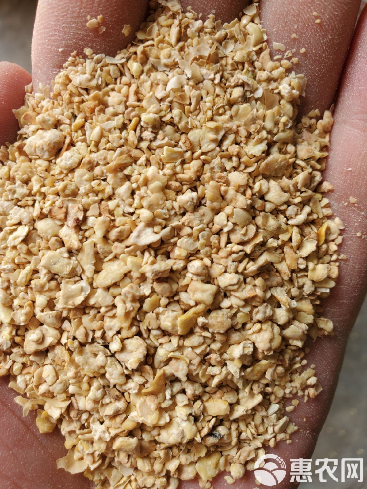 豆粕现货价格(豆粕现货价格走势) 豆粕现货价格(豆粕现货价格走势)