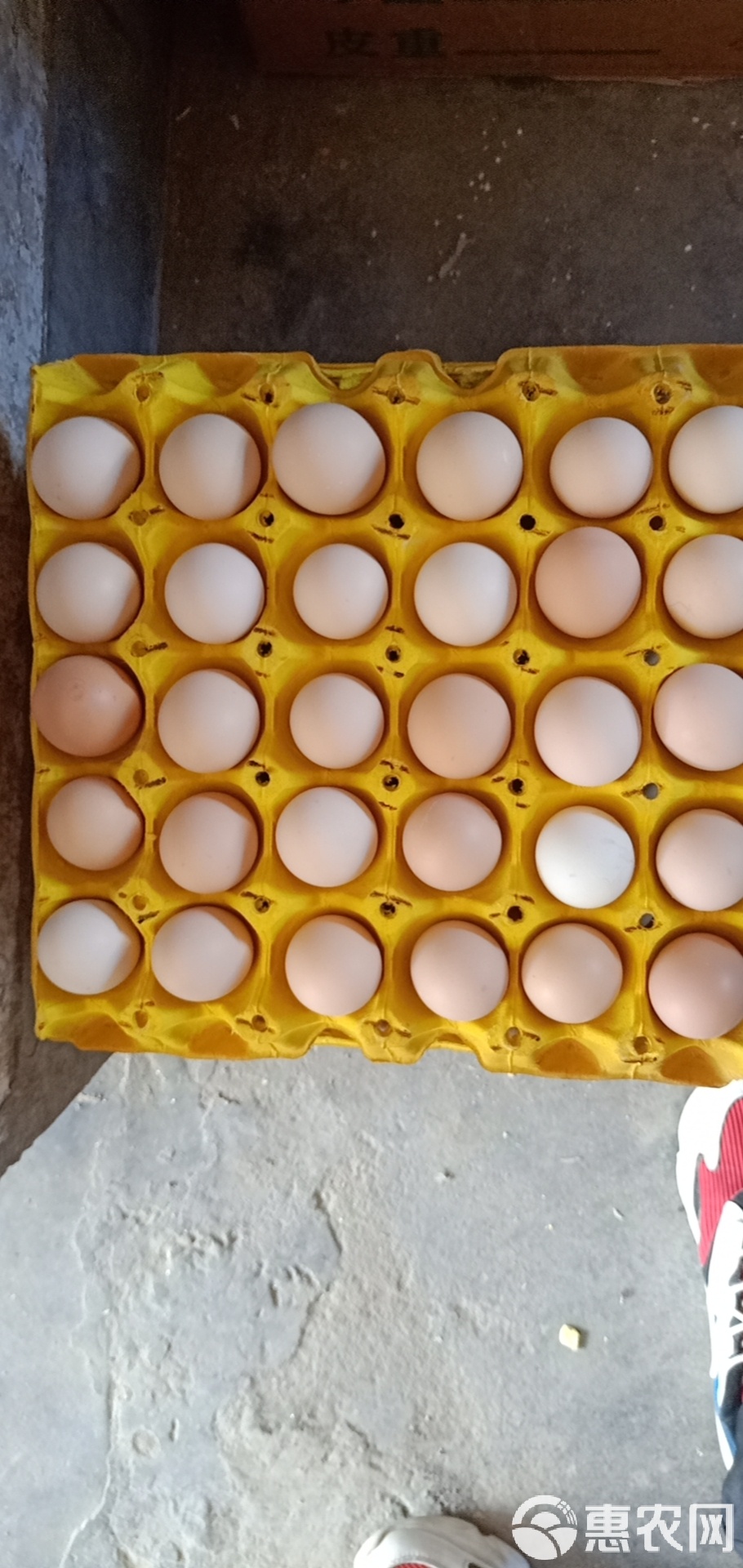 鸡蛋现货(鸡蛋现货反弹后有所回调)